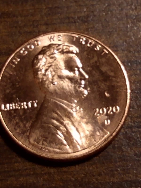 259420690_228083489429131_8883065102454009827_n.jpg