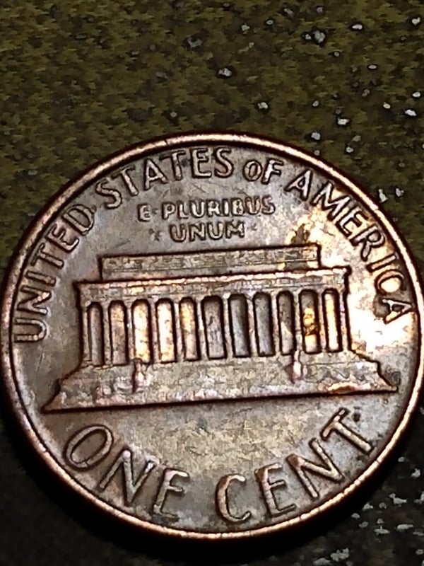 259799634_330917978716785_2958052451363107677_n.jpg