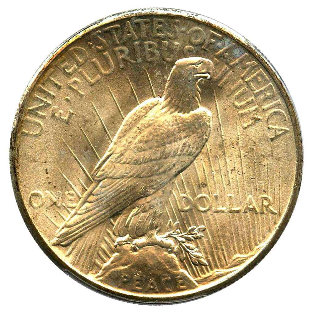 25a copy.jpg