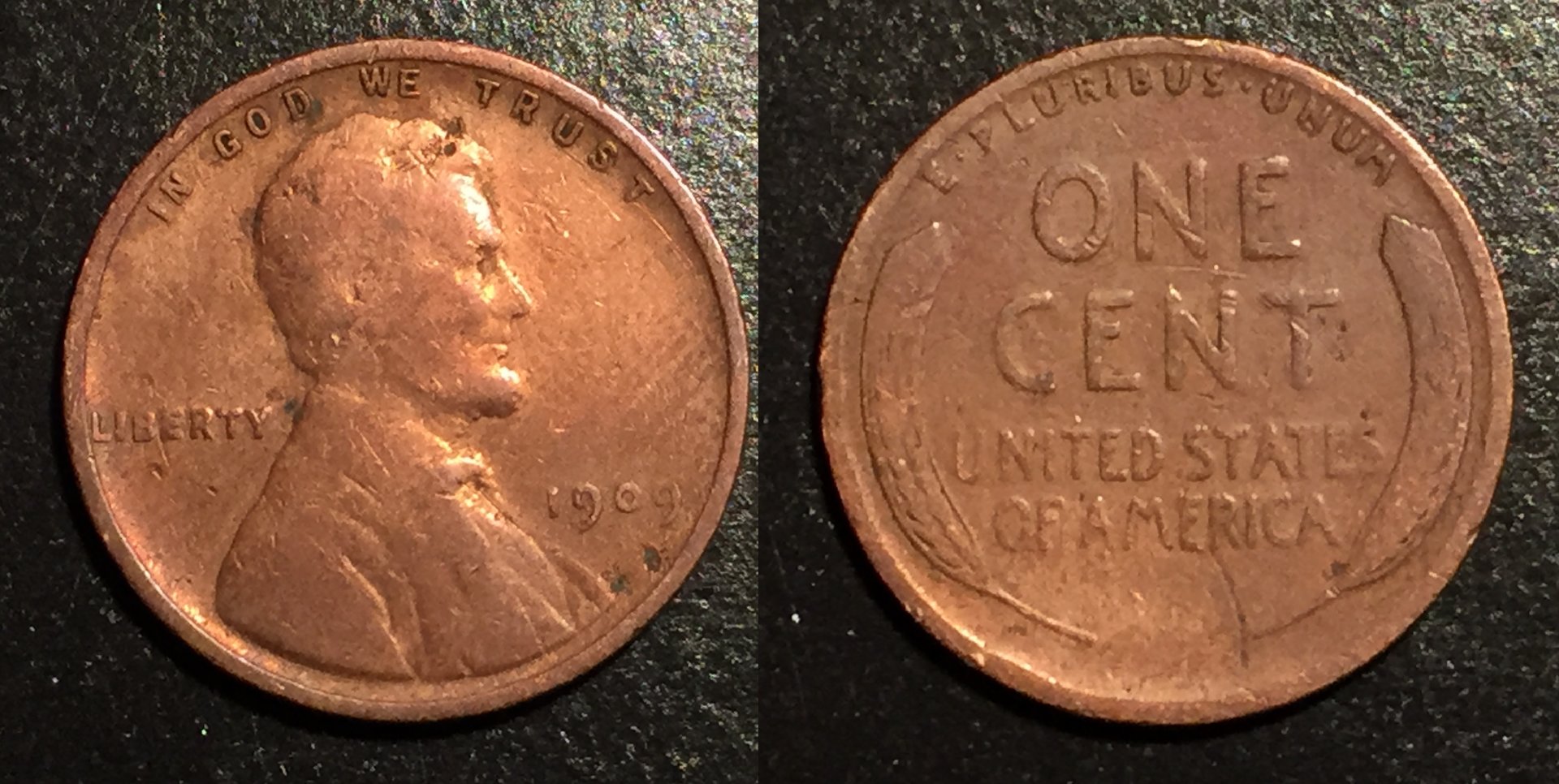 25JAN 1909 Wheat.jpg