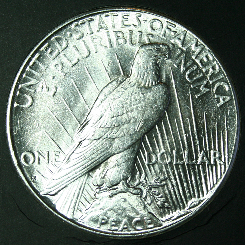 26-SPVAM4rev.jpg