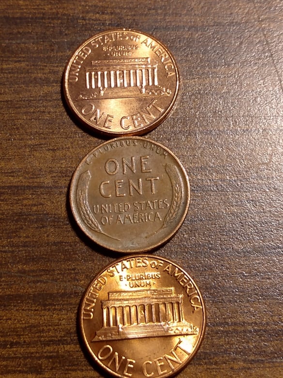 260363333_1519892145058037_5998758110744754689_n.jpg