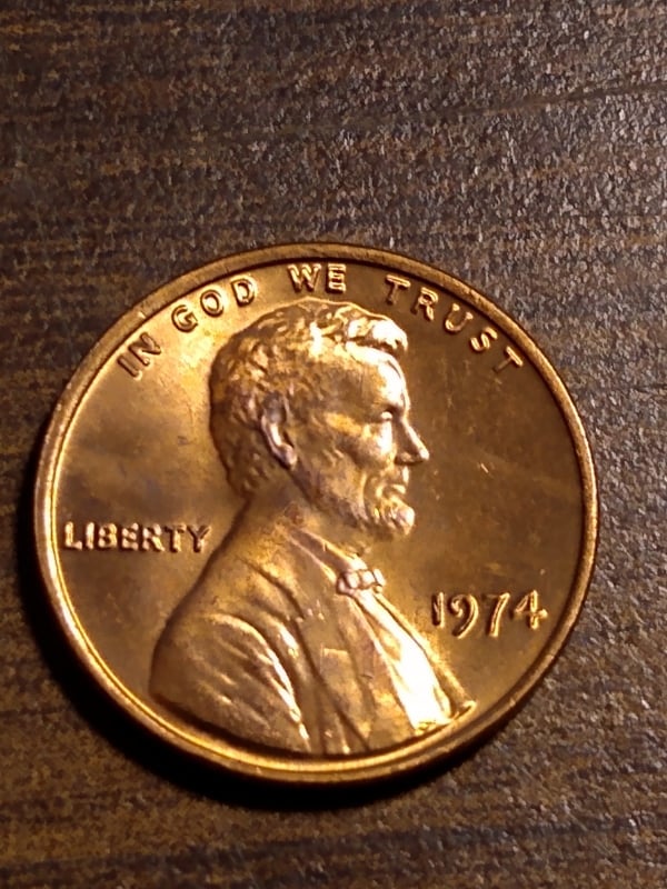 260922714_229139569199244_5727780263706676545_n.jpg