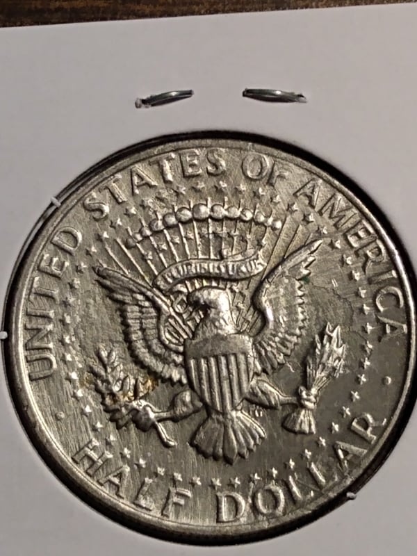 261236576_299456405386773_6981011534908219844_n.jpg