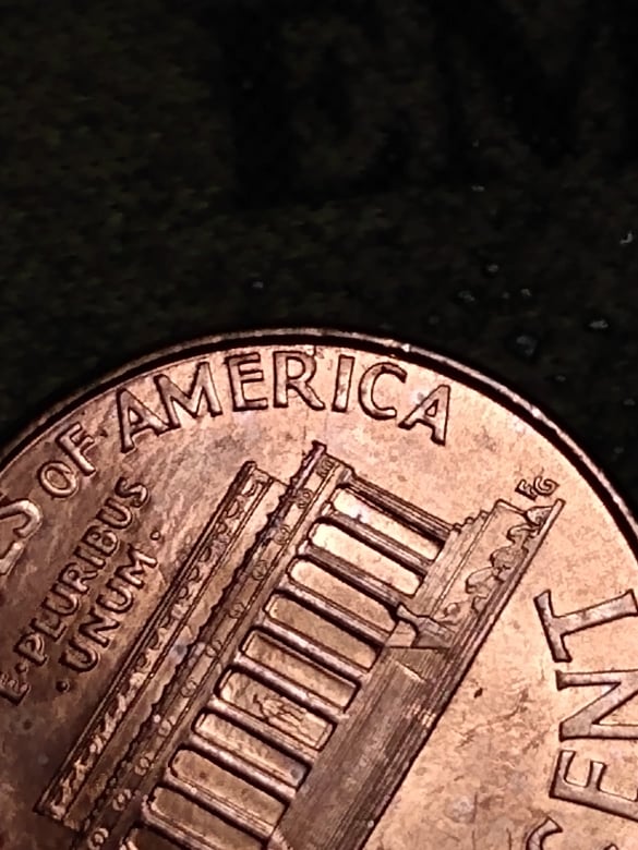 261265576_439312704251072_548183432948481000_n.jpg