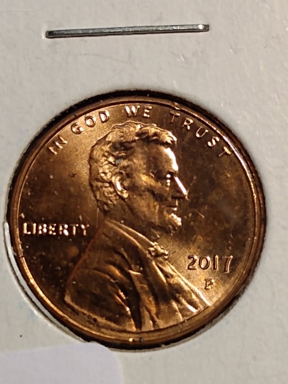 262472319_382072666997200_125344882860174434_n.jpg