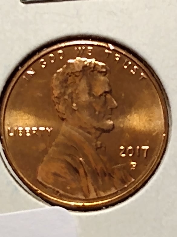 262555667_327929488784020_129779087274392972_n.jpg