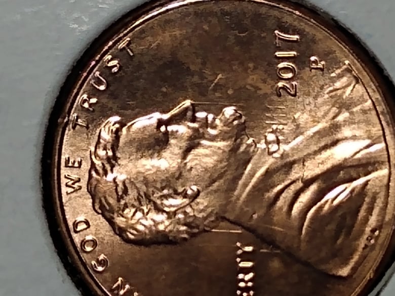 262585466_192862339713524_1226353550553971698_n.jpg
