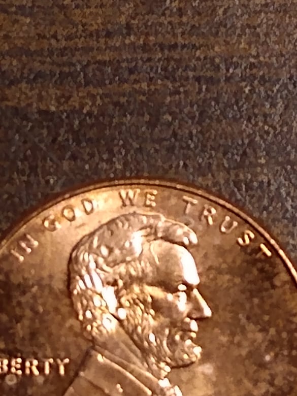262726562_277889461055283_9215835571700607100_n.jpg
