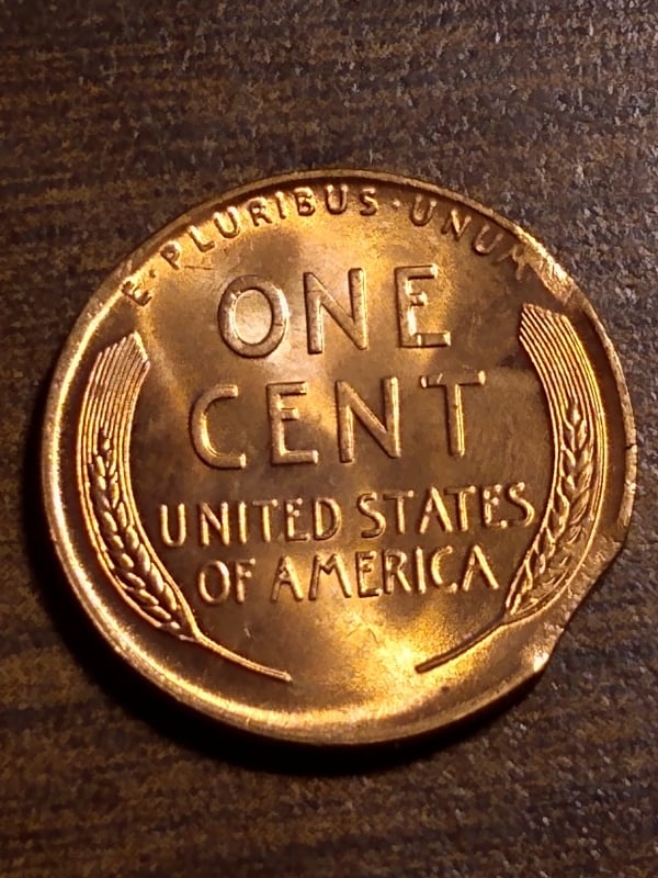 263164329_379146807291643_3076913333219712551_n.jpg