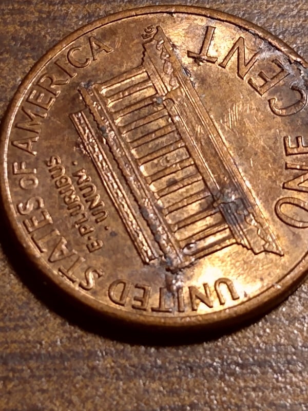 263184680_421553086090798_6151727275010741095_n.jpg