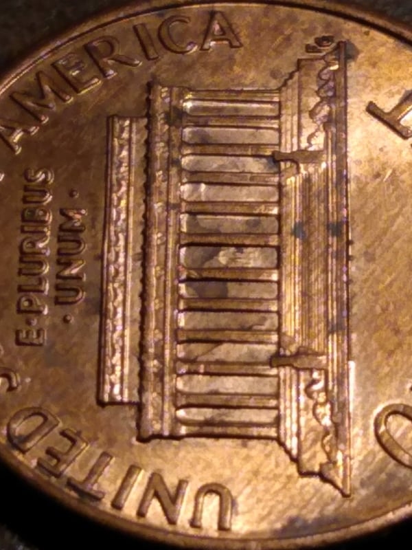 263300790_314200230345717_1088000528450376915_n.jpg