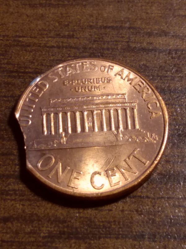 263422601_429379028645957_1132196754066064524_n.jpg