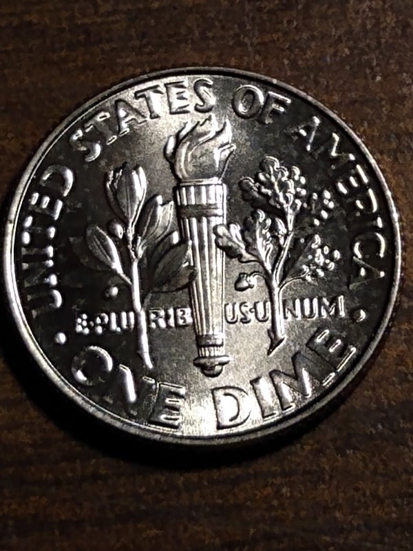263475820_4370942713003833_1002561286237614743_n.jpg