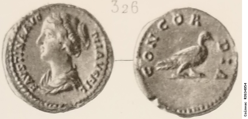 2634954.jpg