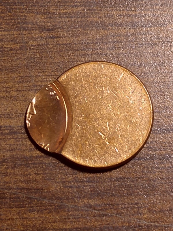 263502470_430531085234750_1934982714567931890_n.jpg
