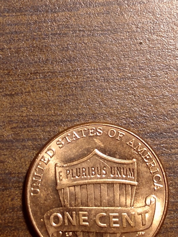 263513842_3019708384938937_4168811529402829788_n.jpg