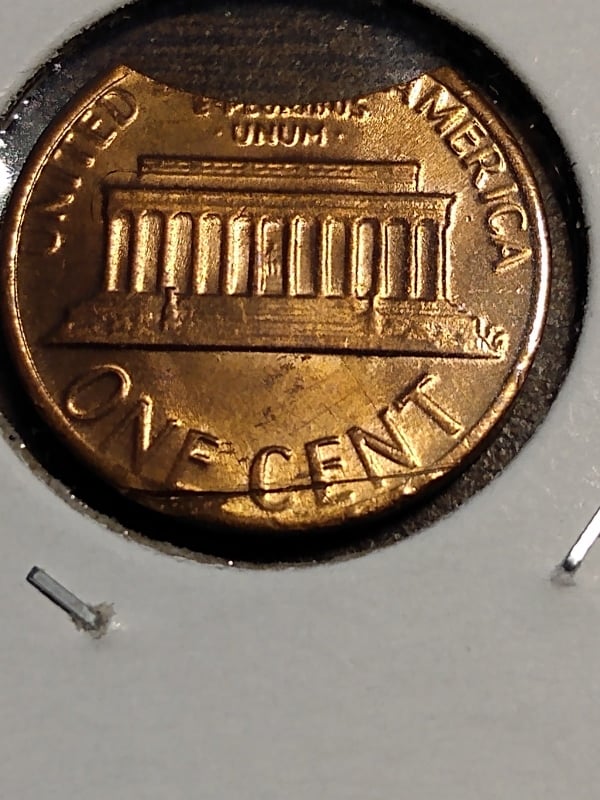 263589962_214344767522605_1454802758202609417_n.jpg