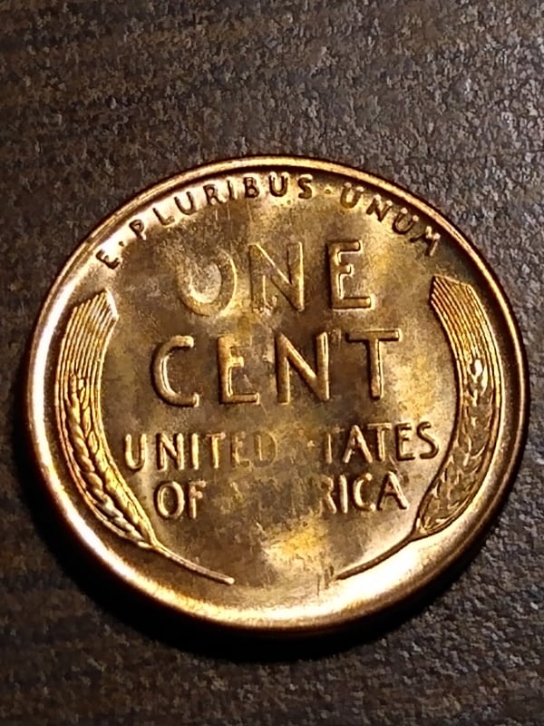 263624505_598010208135692_5959409602638183694_n.jpg