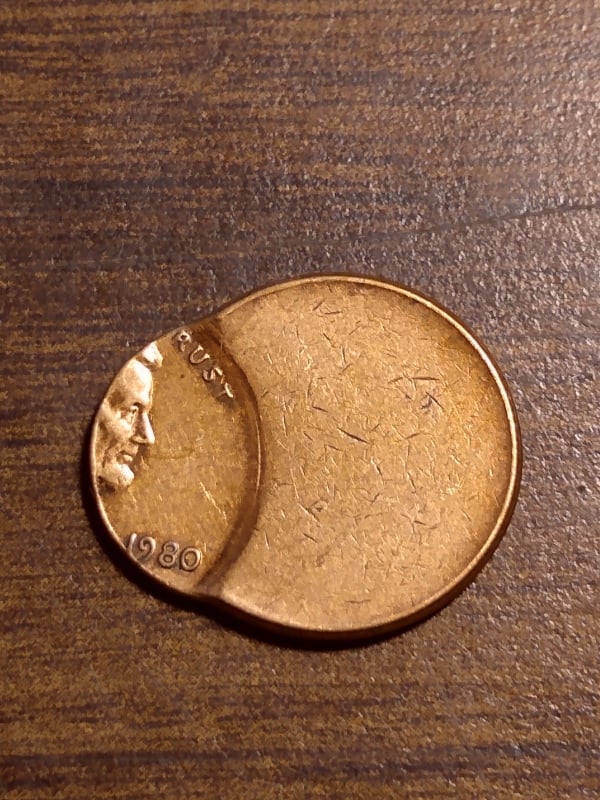 263629949_629541581527402_3468533152725382966_n.jpg