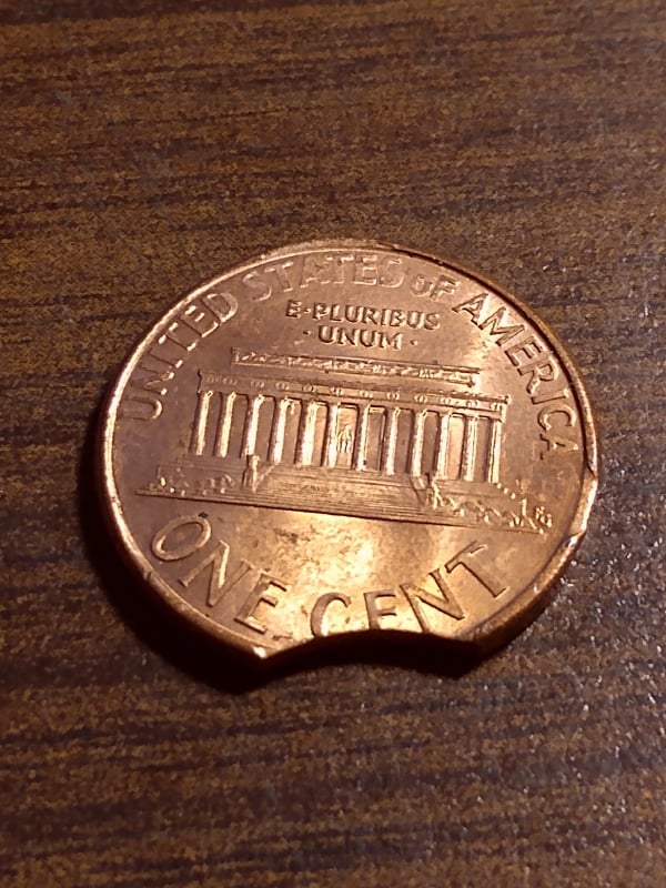 263675988_1520380521660697_3889228520024472029_n.jpg