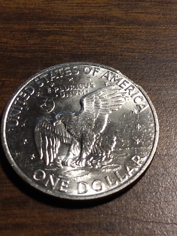 263686624_918684675434066_528935057015981619_n.jpg