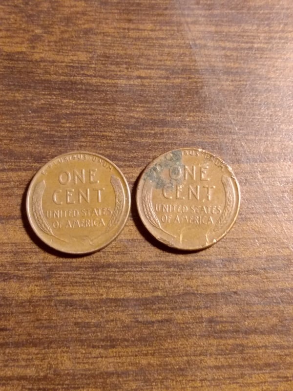 263835523_418355660019520_2529921102980080568_n.jpg