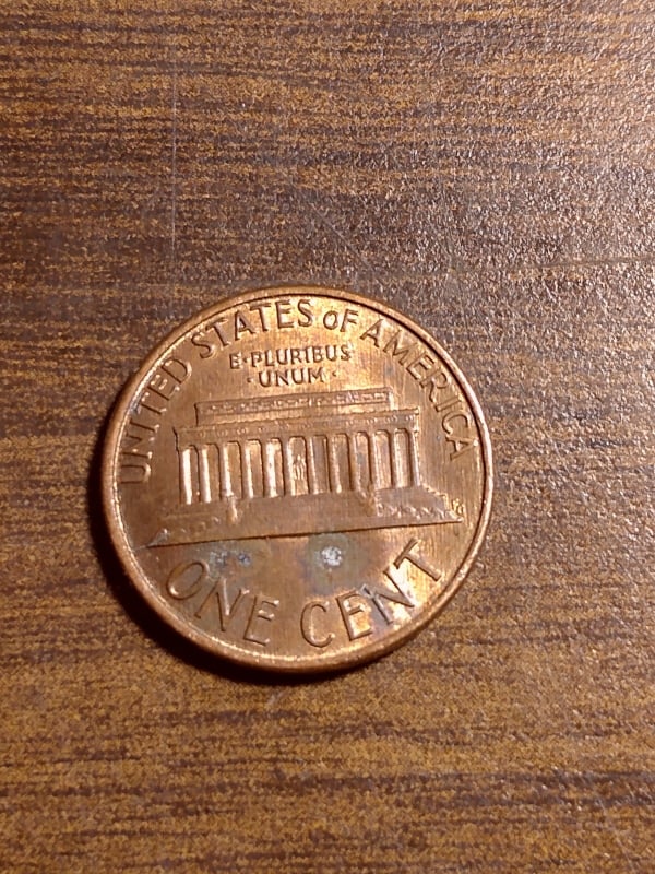 263953705_1257881824698502_8060216963974195711_n.jpg