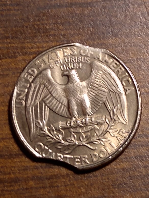 263953851_484377496367692_4061044819896091395_n.jpg