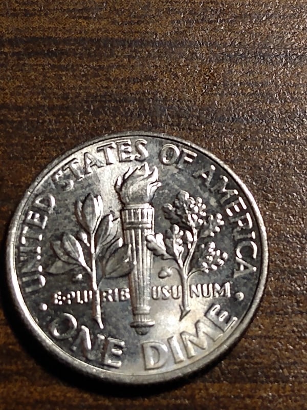 264063677_307708107921177_7100793917390849993_n.jpg
