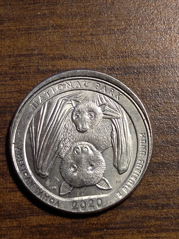 264072797_393109609257147_353347856559001811_n.jpg