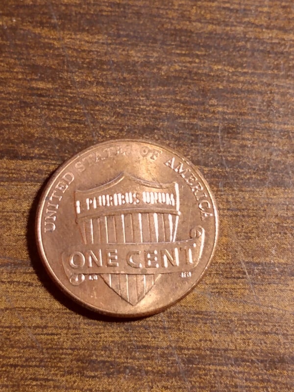 264122417_406597687816382_3704067367303852959_n.jpg