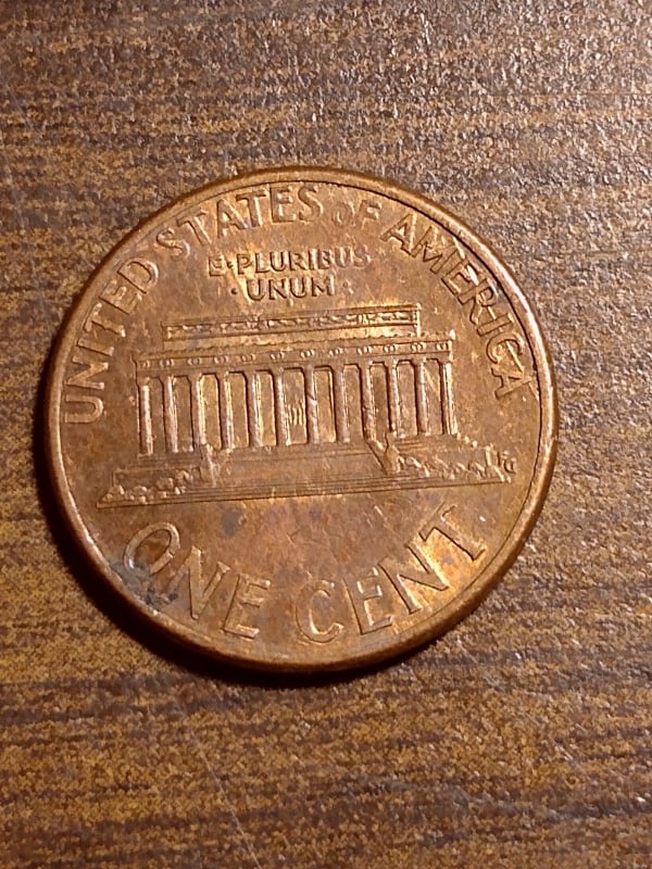 264127903_2503379946462574_8085341180418022144_n.jpg