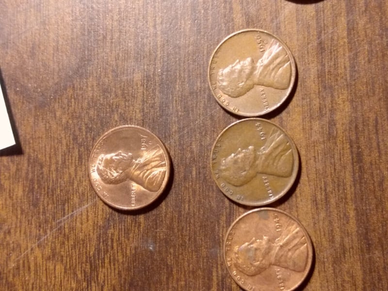 264179144_254305300135297_7918650653629605215_n.jpg
