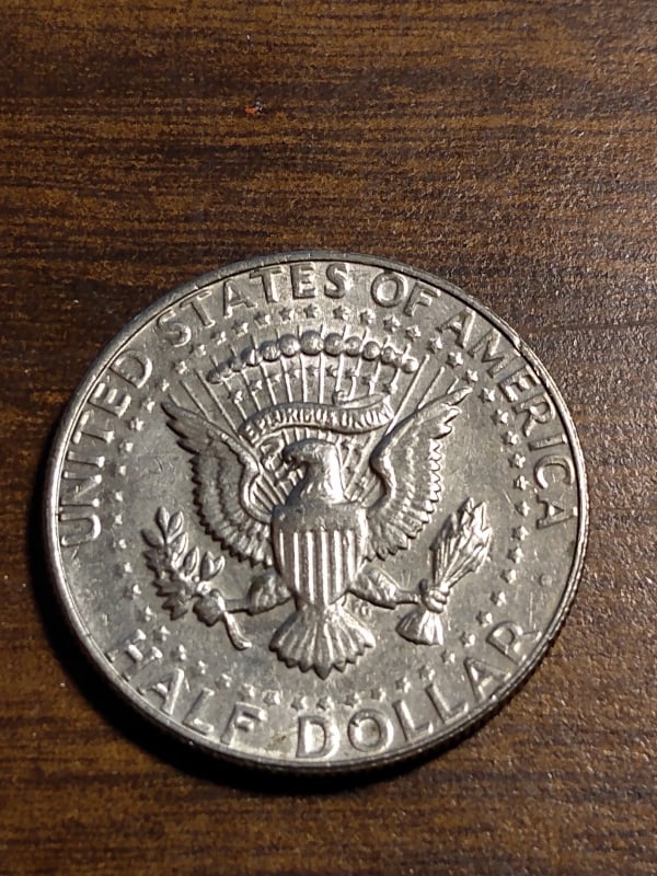 264199635_452603999567299_1628363167278096159_n.jpg