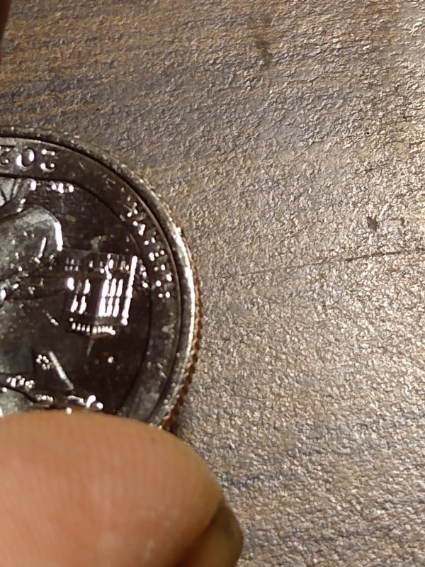 264242120_3138108543139681_8034965970350257901_n.jpg