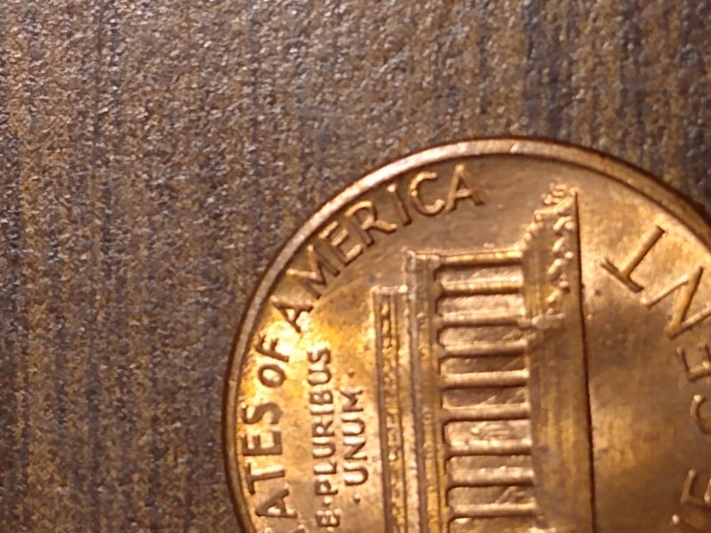 264427004_727607091546892_1429064702017227739_n.jpg