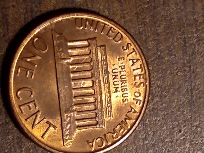 264493761_421483709651926_1277869193083877335_n.jpg