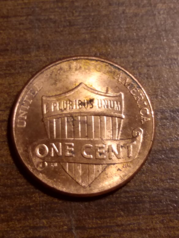 264686937_252514453498176_1764360963796643866_n.jpg