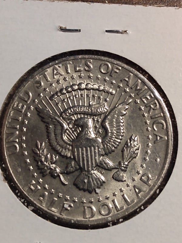 264734644_197413635938306_1518142809786341280_n.jpg