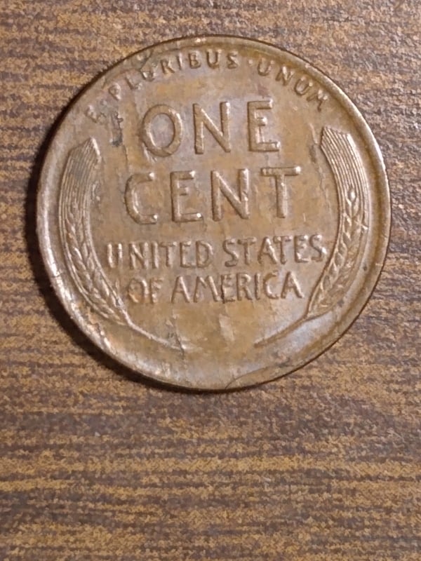 265197599_4575062242615250_7631974925935466464_n.jpg