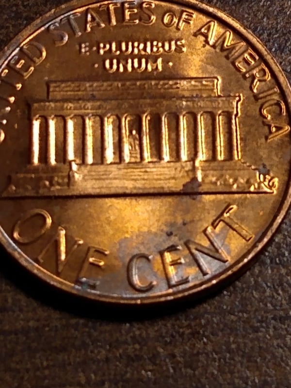 265225641_1784122601773503_8260319221027096762_n.jpg