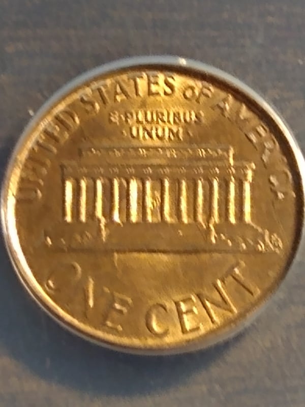 265237443_1012453392652828_7294118282423827029_n.jpg