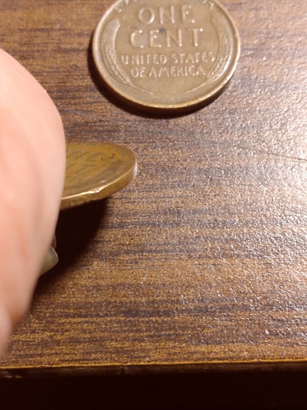 265466601_861675721169901_1416236425336416611_n.jpg