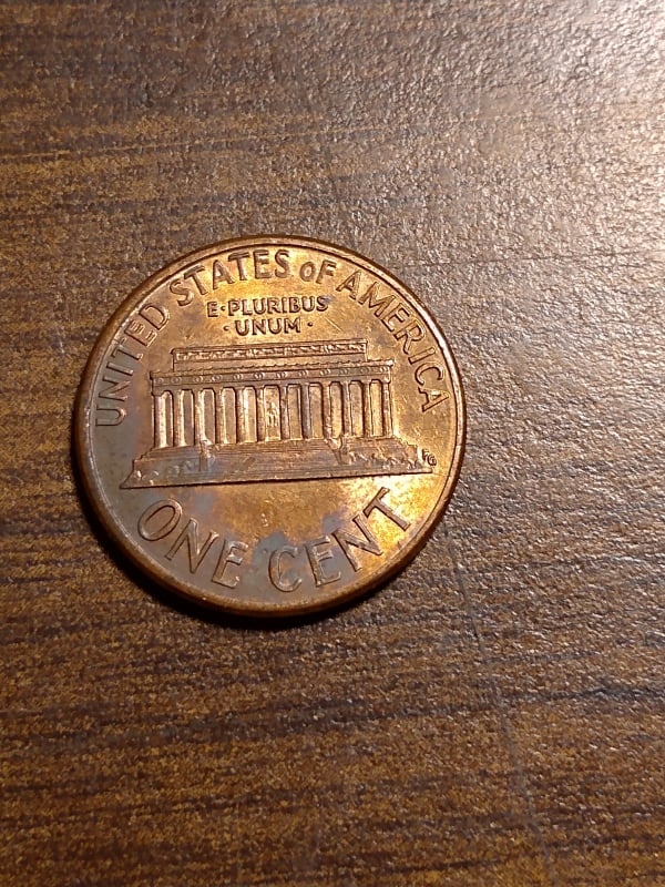 265474686_858896911444291_1310317291017327878_n.jpg