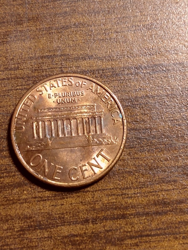 266220610_334141968535895_3200584820932160937_n.jpg