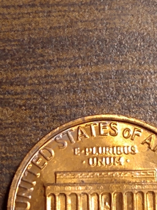 266325400_311062987565290_3742924736893023152_n.jpg