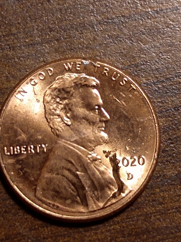 266860156_4751517308263893_2284609313110530234_n.jpg