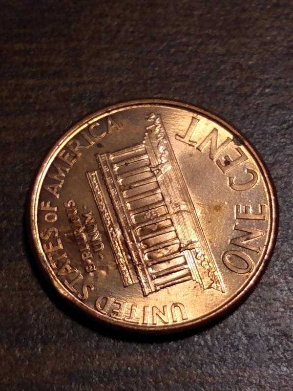267394970_412492847244014_257492965969533034_n.jpg