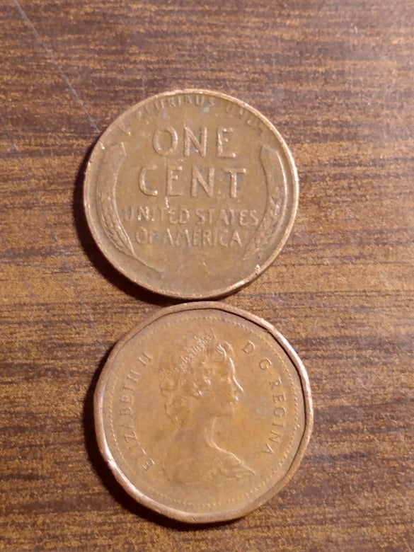 267691757_386754636561984_1979075143586424932_n.jpg